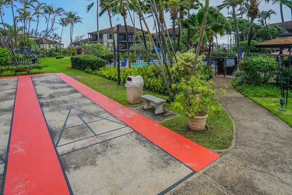 Colorful Outdoor Recreation Court