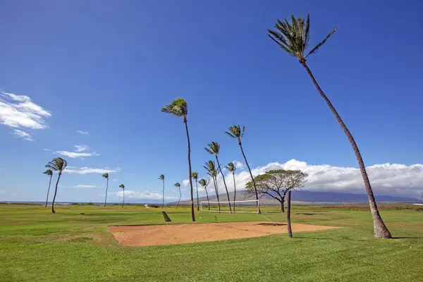 Lush Oceanfront Park For Daily Strolls
