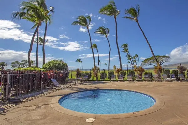 Pool For Relaxing Days