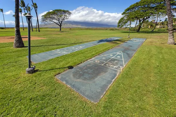 Resort Shuffleboard For Family Fun