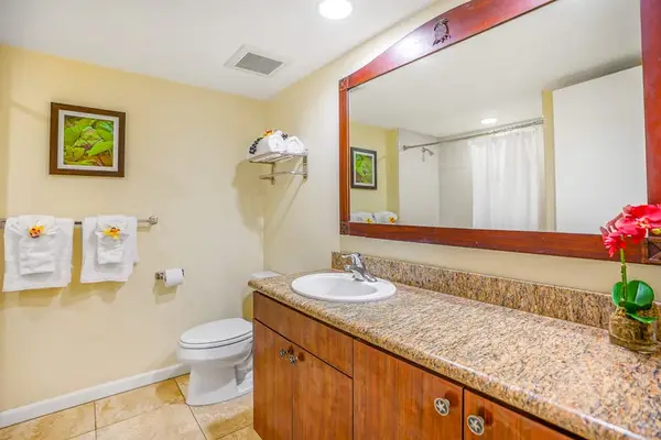 Spa-Inspired Full Bathroom