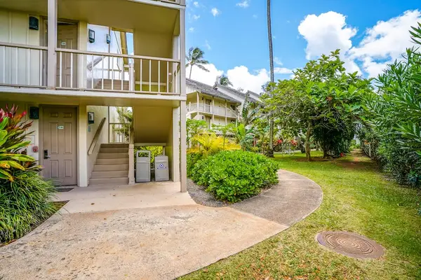 Tropical Pathway To Paradise