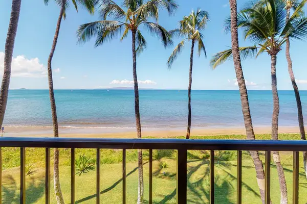 Front Row Seats To Ocean Paradise