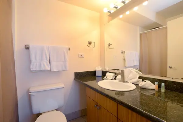 Full bathroom with convenient vanity and shower area