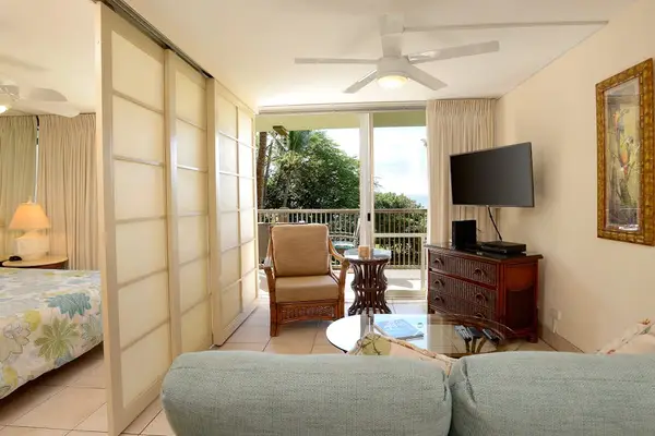 Bright living area with comfortable seating and tropical views