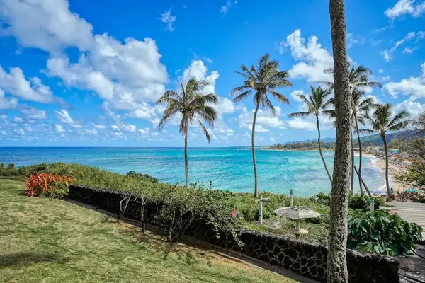 Spacious Backyard for Outdoor Relaxation and Ocean Views