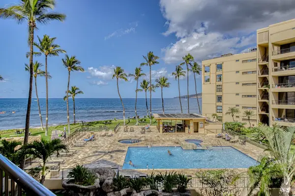 Resort Pool Framed By Swaying Palms