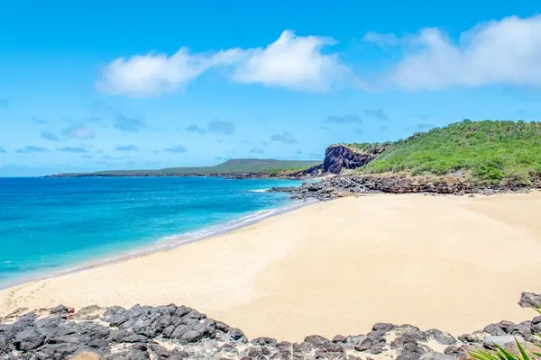 Breathtaking beach views overlooking soft white sand and sparkling Pacific waters below