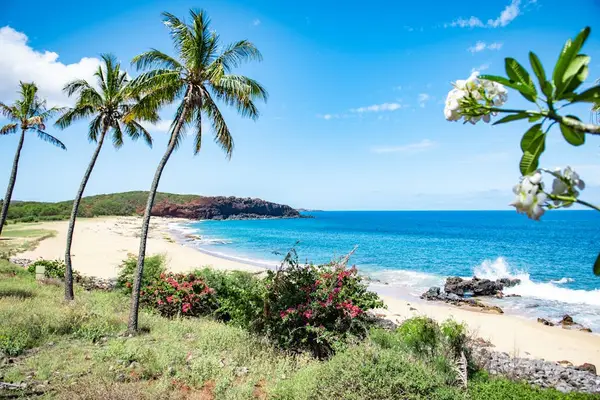 Enjoy unforgettable beach views with crystal waters and picturesque white sandy coastline nearby