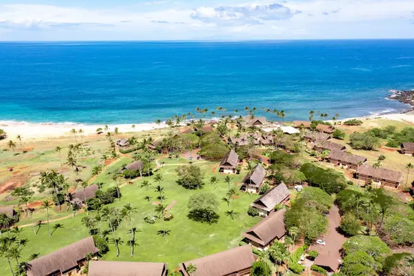 Tropical palms offers inviting views beside Pacific waters