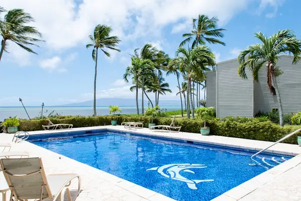 Shared pool overlooks tropical grounds and the Pacific Ocean
