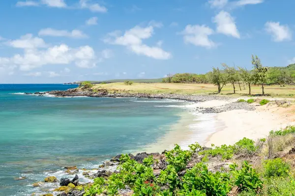 Unwind where golden sands meet sparkling blue