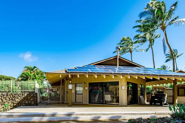 Come home to sunshine, comfort, and tropical charm