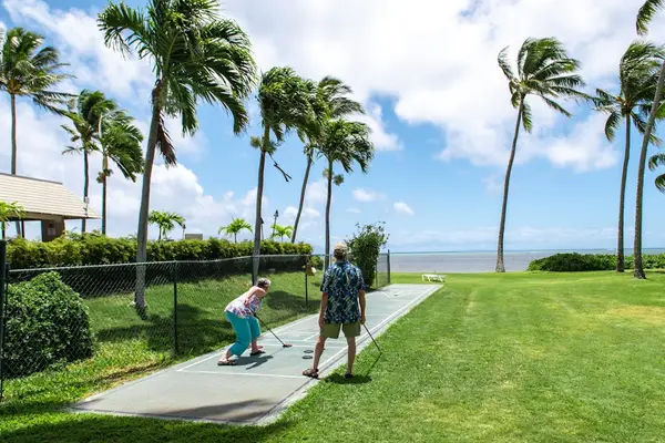 Scenic pathway leading toward the shoreline for relaxing coastal walks every day