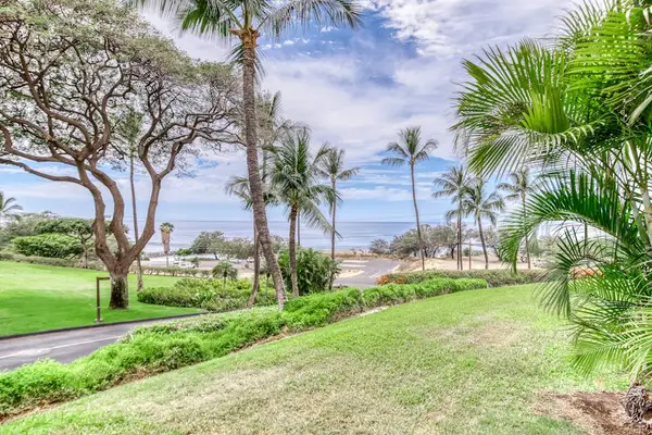 Lush Oceanfront Resort Grounds