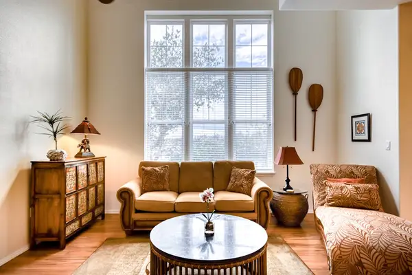 Cozy living room filled with natural light