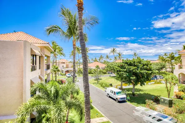 Resort Views Surrounded By Lush Palms