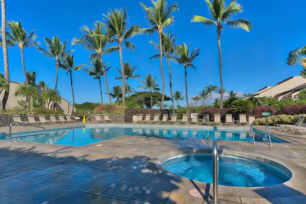 Palm Lined Resort Pool