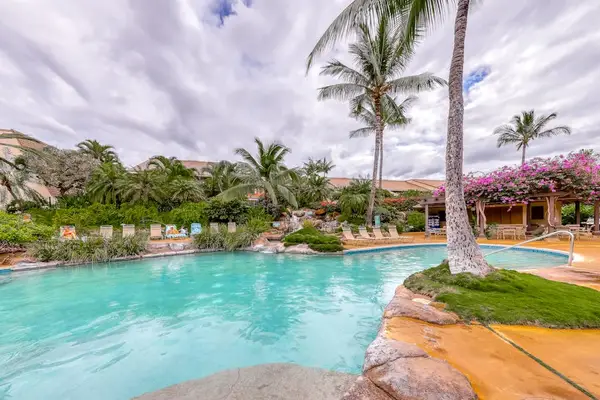 Resort Pool Surrounded By Palms