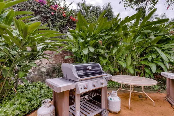 Garden Barbecue Gathering Spot