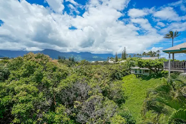 Lush Mountain Views In Every Direction