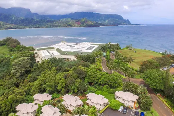 Iconic Bay Views From Above