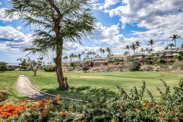 Expansive landscaped grounds with mature shade trees