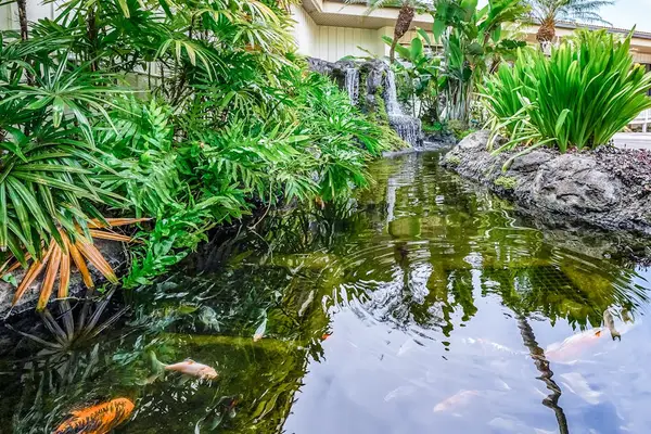 Tropical Garden Water Feature With Serene Views