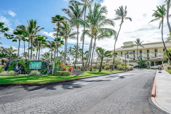 Palm-Lined Resort Drive With Lush Grounds