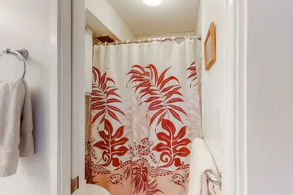 Master bathroom with walk-in shower