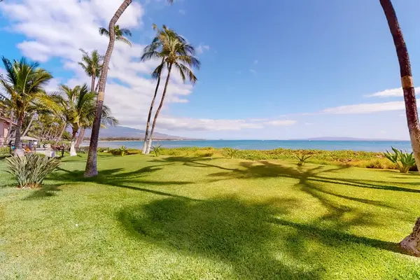 Expansive Oceanfront Lawn With Palms