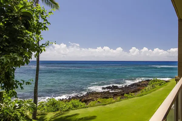Enjoy stunning views of the Pacific Ocean framed by lush tropical plants, swaying palm trees and sparkling turquoise waters.
