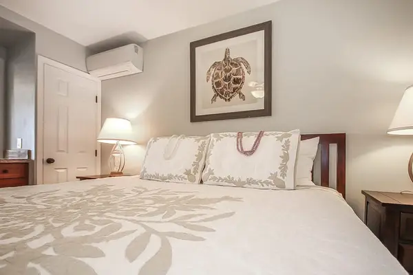 Master bathroom with king bed, flat screen tv and a ceiling fan.