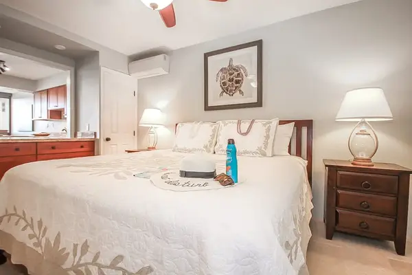 Master bathroom with king bed, flat screen tv and a ceiling fan.