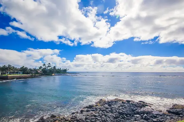 Enjoy stunning views of the Pacific Ocean framed by lush tropical plants, swaying palm trees and sparkling turquoise waters.