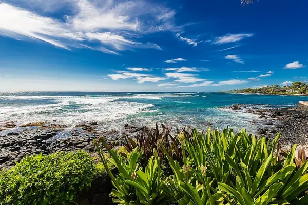 Enjoy stunning views of the Pacific Ocean framed by lush tropical plants and sparkling turquoise waters.