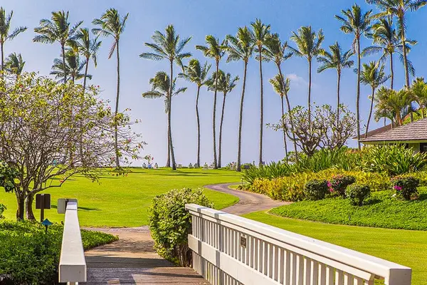 Lush, tropical scenery all around the Kiahuna Plantation Resort.