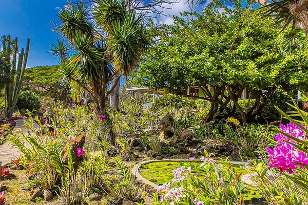 Lush, tropical scenery all around the Kiahuna Plantation Resort.