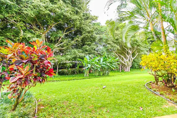 Lush, tropical scenery all around the Kiahuna Plantation Resort.