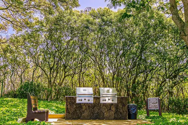 Gas grills for the chef in you.