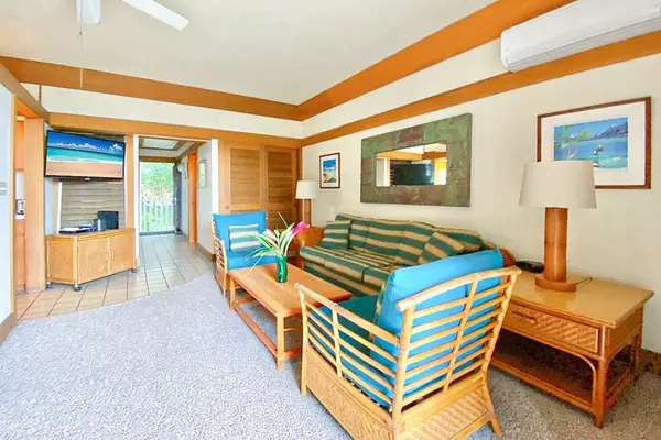 Living room full of natural light and a flat screen TV.