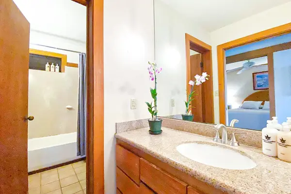 Master bathroom with shower/tub combo.