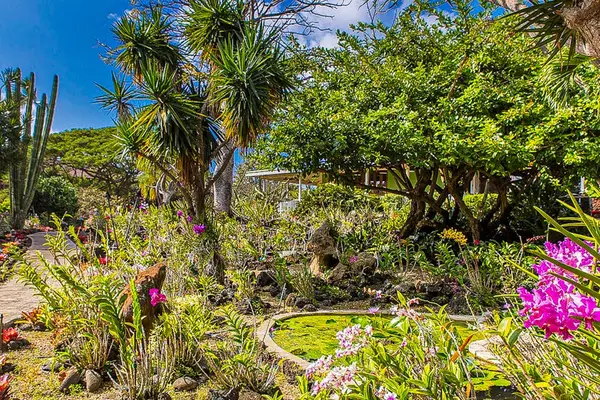 Lush, tropical scenery all around the Kiahuna Plantation Resort.