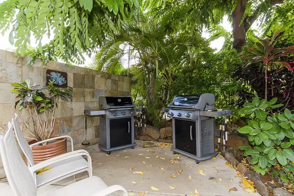 Gas grills for all of your fresh fish you will catch.