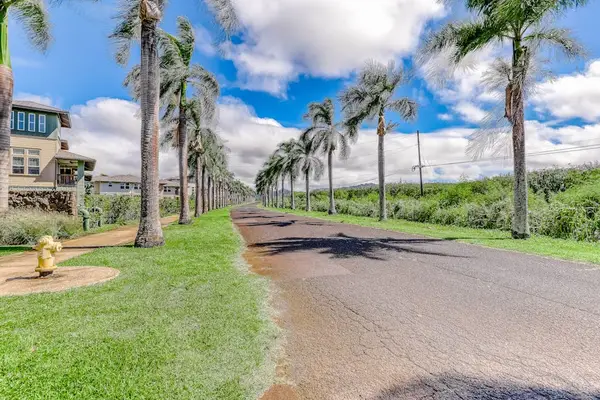 Peaceful Tree Lined Community Drive