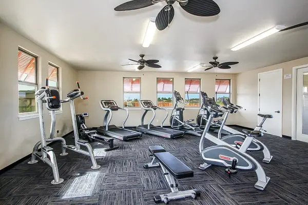 Spacious Gym With Premium Equipment