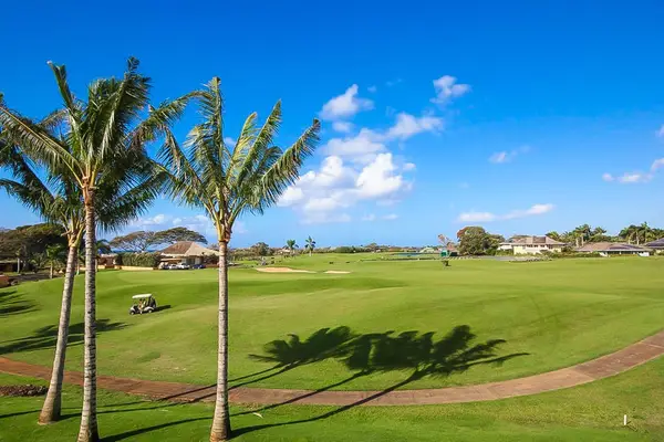 Expansive Golf Course Views