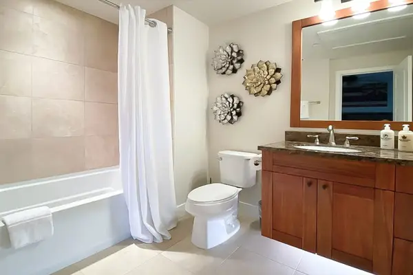 Fresh And Modern Guest Bathroom