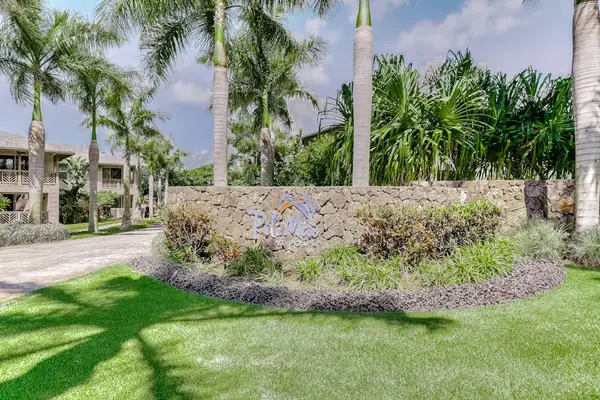 Peaceful Palm Lined Walkways