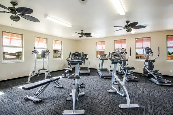 Modern Gym with Cardio & Strength Equipment
